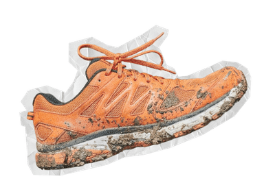 Shoe
